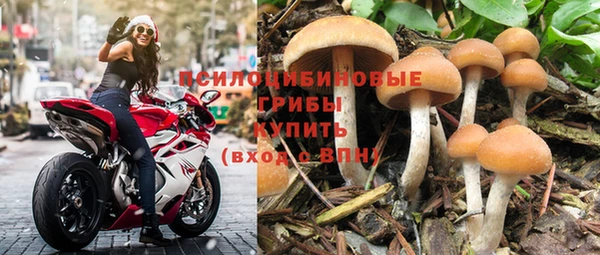 герыч Зеленокумск
